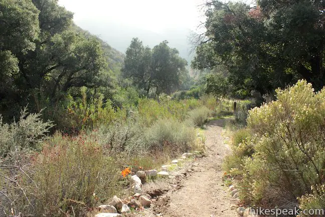 Placerita Canyon Ecology Trail