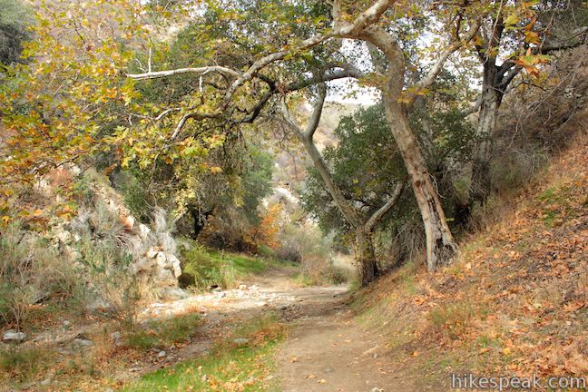 Placerita Canyon Trail