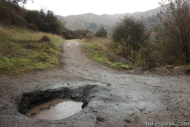 Placerita Canyon oil seep