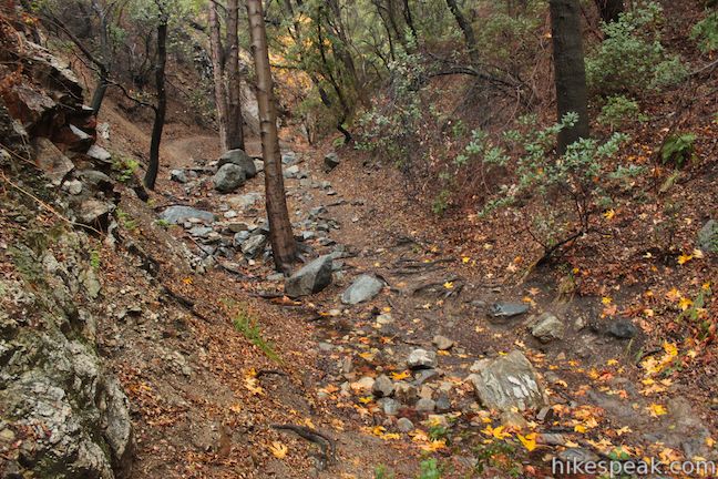 Los Pinetos Waterfall Trail