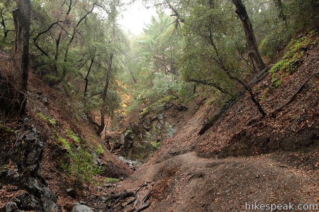 This 5 1/3-mile round trip hike in Placerita Canyon Natural Area follows Canyon Trail to the ruins of Walker Ranch and Waterfall Trail to an elusive falls in a sylvan canyon.