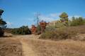 Rocky Oaks Malibu