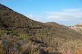 Rocky Oaks Malibu