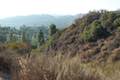 Runyon Canyon Park