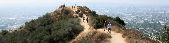 Runyon Canyon Park Hollywood Hike dog park dog-friendly Runyon Canyon Park is one of the most popular hiking destinations in Los Angeles best hike LA