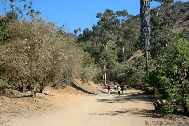 Runyon Canyon Fire Road