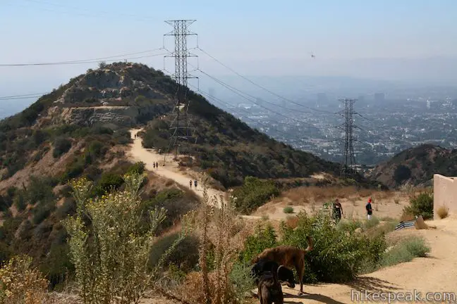 Runyon Canyon hike