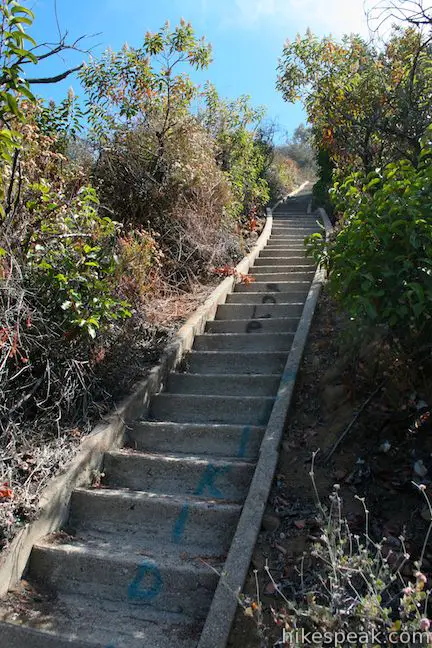 Murphy Ranch Rustic Canyon