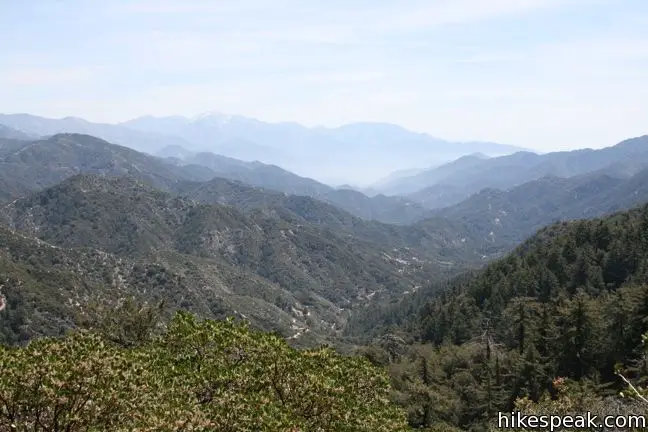 Mount Baldy View