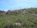 Sandstone Peak Circle X Ranch Malibu