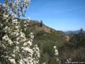 Sandstone Peak Hiking Trail