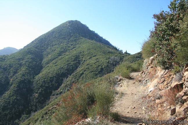 Smith Mountain trail