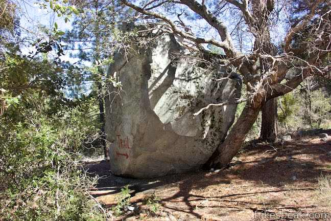 Strawberry Meadow Boulder