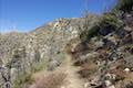 Colby Canyon Trail Josephine Saddle