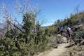 Bike Colby Canyon Trail