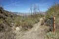 Strawberry Peak Trail Colby Canyon Trail Junction