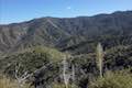 Strawberry Meadow Hike Wickiup Canyon