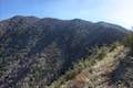 Mount Lawlor Strawberry Meadow Hike