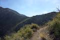 Lawlor Saddle Strawberry Meadow Hike