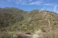 Strawberry Peak Summit Hike