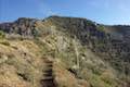 Strawberry Peak Trail