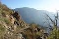 Strawberry Peak Trail