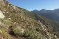 Strawberry Peak Trail