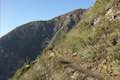 Strawberry Peak Trail