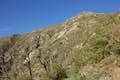 Strawberry Peak Trail