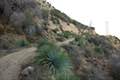 Strawberry Peak Trail