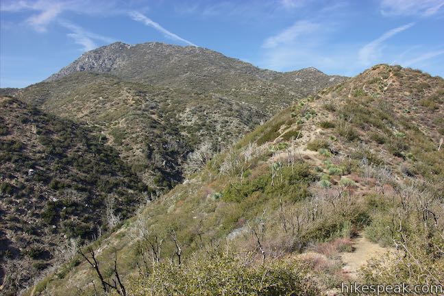 Strawberry Peak Summit Trail