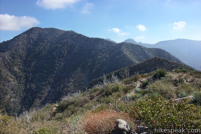 Strawberry Peak Summit Trail