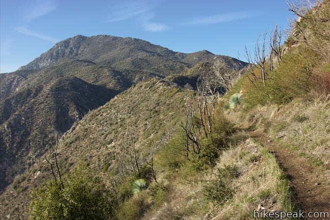 Strawberry Peak Trail