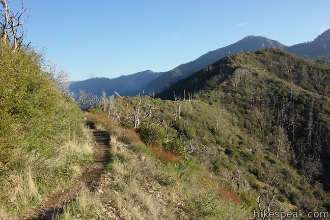 Strawberry Peak Trail