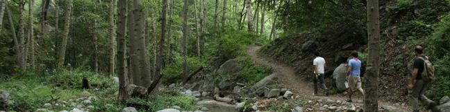 Hoegees Camp Lower Winter Creek Trail Los Angeles San Gabriel Mountain Hike Santa Anita Canyon Angeles National Forest Arcadia