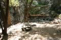 Santa Anita Canyon