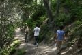 Upper Zion angeles hike