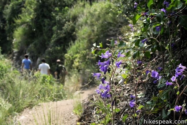 Lower Zion Trail