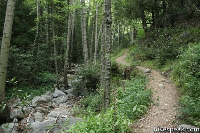 Winter Creek Trail