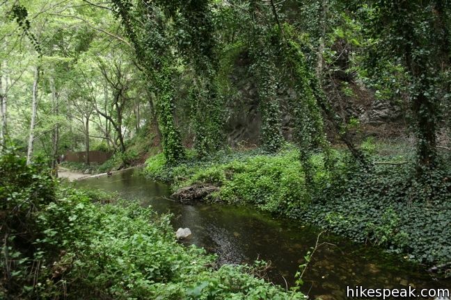 Lower Winter Creek Trail