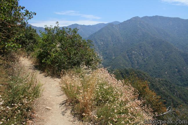 Upper Winter Creek Trail