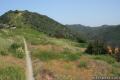 Sullivan Ridge Trail