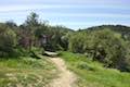 Viewridge Trail