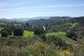 Viewridge Trail