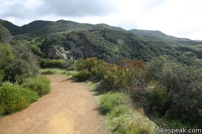 Trailer Canyon Trail