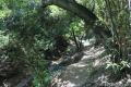 Santa Ynez Falls Hike