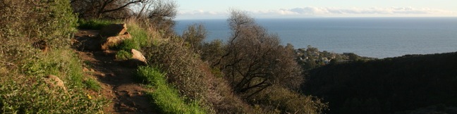 Los Liones Trail Parker Mesa Overlook Topanga State Park sunset boulevard Palisades Hike bench ocean view ivy romantic hike lovers trail Los Leones Trail