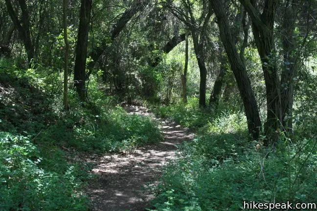 Santa Ynez Waterfall Trail