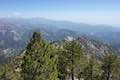 Twin Peaks View
