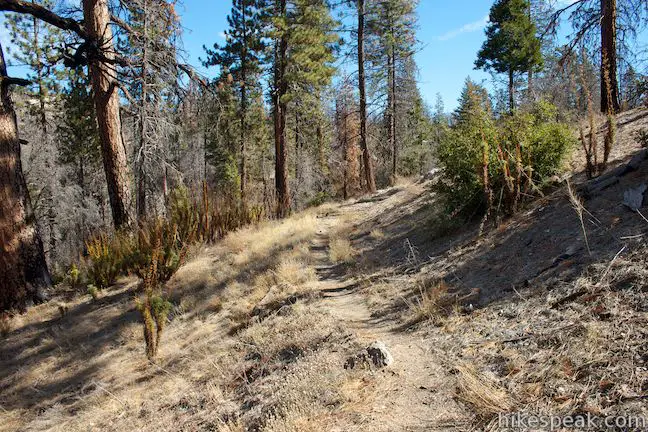 Silver Moccasin Trail